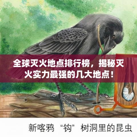 全球灭火地点排行榜，揭秘灭火实力最强的几大地点！
