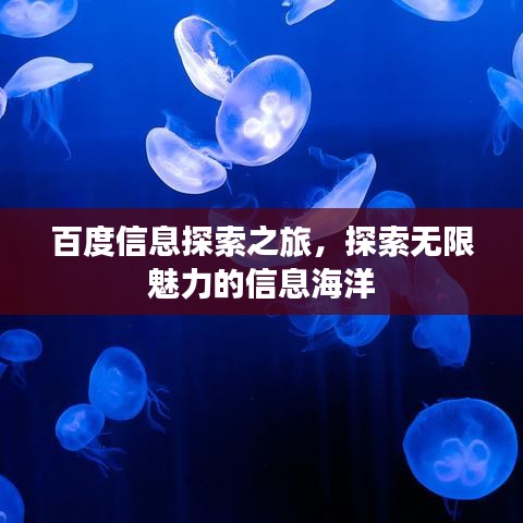 百度信息探索之旅，探索无限魅力的信息海洋