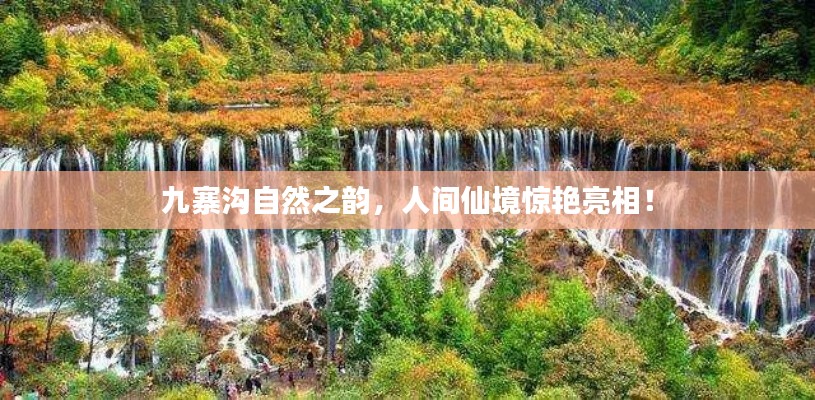 九寨沟自然之韵，人间仙境惊艳亮相！