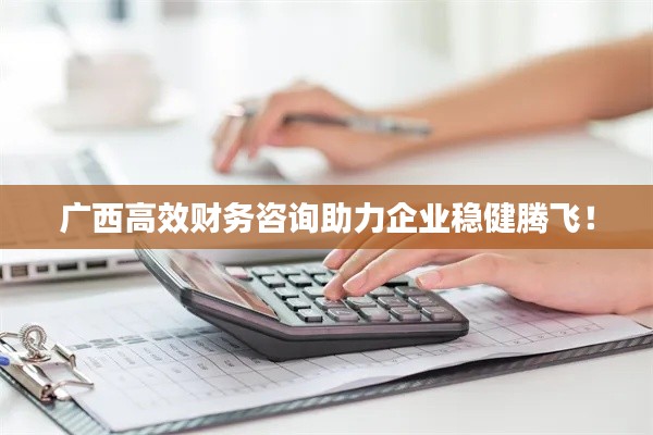 广西高效财务咨询助力企业稳健腾飞！