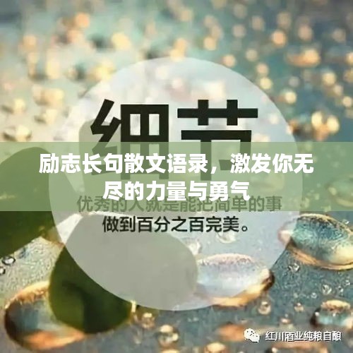 励志长句散文语录，激发你无尽的力量与勇气