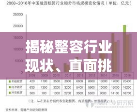 揭秘整容行业现状、直面挑战与未来趋势的深度剖析
