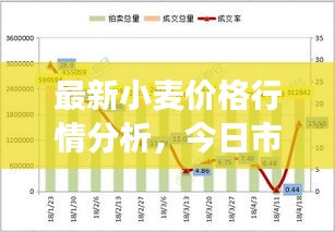 最新小麦价格行情分析，今日市场价、市场动态及未来趋势展望