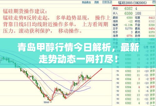 青岛甲醇行情今日解析，最新走势动态一网打尽！
