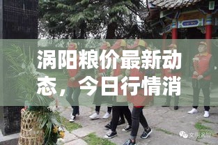 涡阳粮价最新动态，今日行情消息表全面解析
