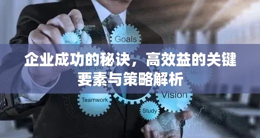 企业成功的秘诀，高效益的关键要素与策略解析