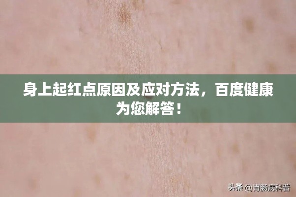 身上起红点原因及应对方法，百度健康为您解答！