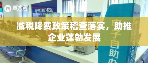 减税降费政策稽查落实，助推企业蓬勃发展