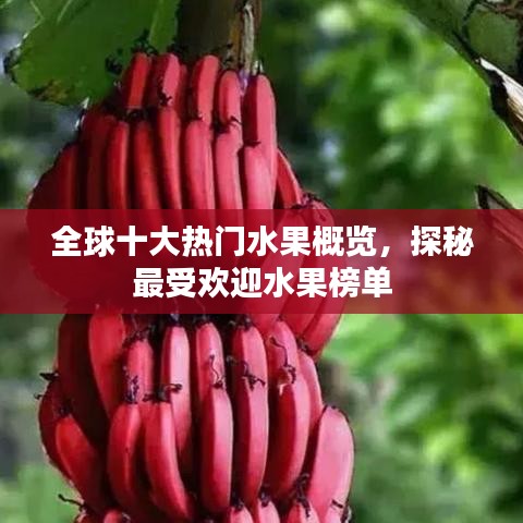 全球十大热门水果概览，探秘最受欢迎水果榜单