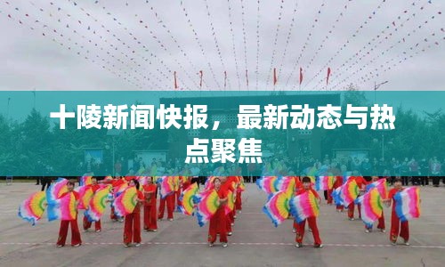 十陵新闻快报，最新动态与热点聚焦