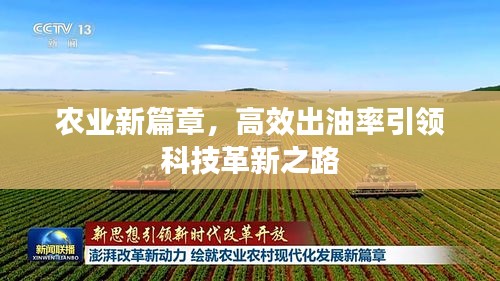 农业新篇章，高效出油率引领科技革新之路