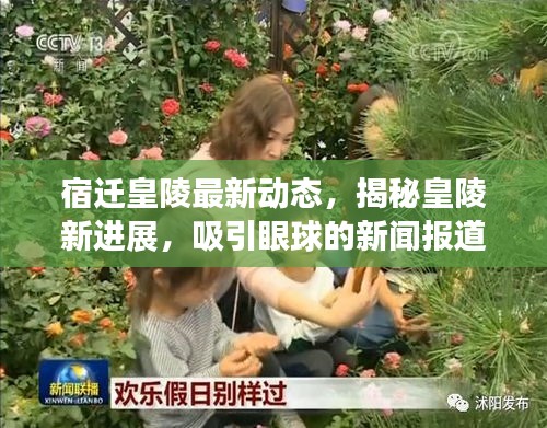 宿迁皇陵最新动态，揭秘皇陵新进展，吸引眼球的新闻报道！