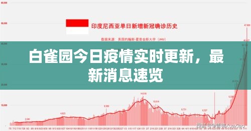 白雀园今日疫情实时更新，最新消息速览