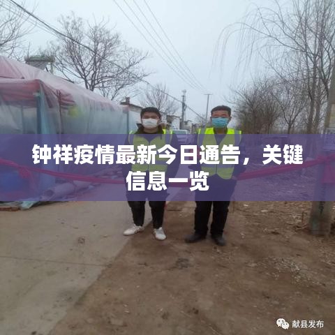 钟祥疫情最新今日通告，关键信息一览
