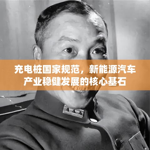 充电桩国家规范，新能源汽车产业稳健发展的核心基石