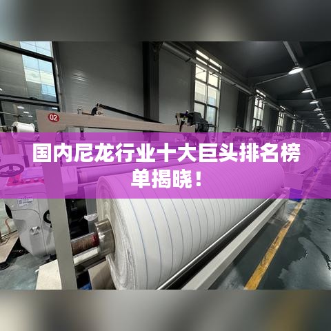 国内尼龙行业十大巨头排名榜单揭晓！