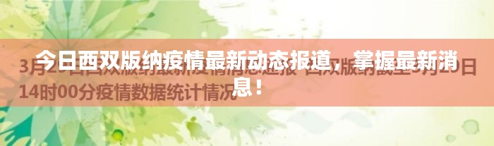 今日西双版纳疫情最新动态报道，掌握最新消息！