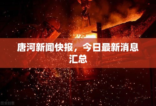 唐河新闻快报，今日最新消息汇总