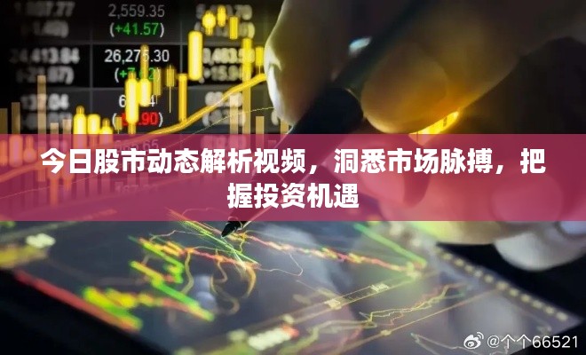 今日股市动态解析视频，洞悉市场脉搏，把握投资机遇