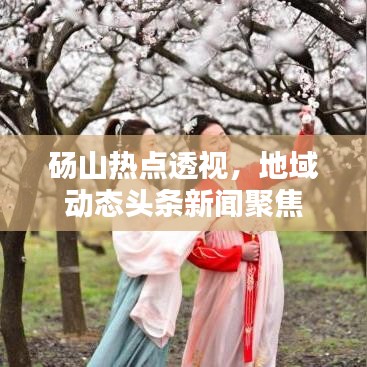 砀山热点透视，地域动态头条新闻聚焦