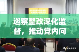 巡察整改深化监督，推动党内问题整改落实专题会商