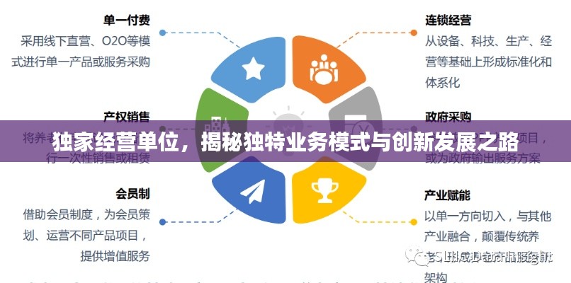 独家经营单位，揭秘独特业务模式与创新发展之路