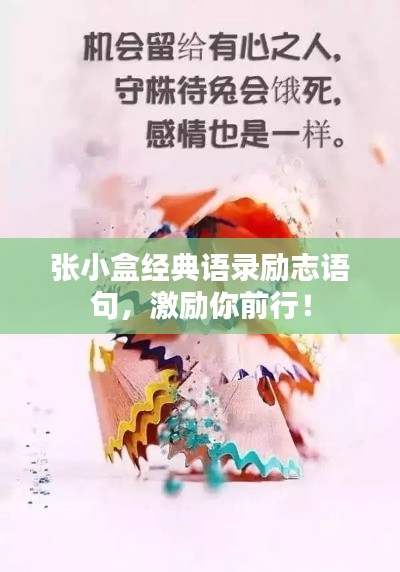 张小盒经典语录励志语句，激励你前行！