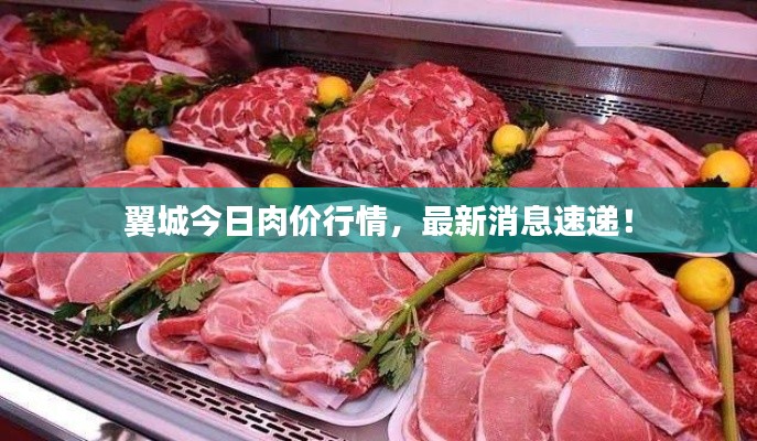 翼城今日肉价行情，最新消息速递！