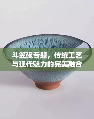 斗笠碗专题，传统工艺与现代魅力的完美融合