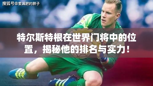 特尔斯特根在世界门将中的位置，揭秘他的排名与实力！