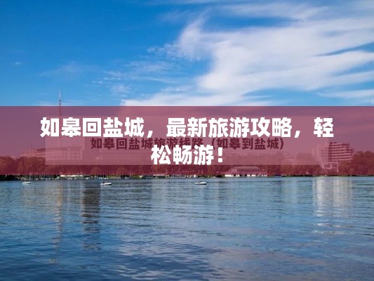 如皋回盐城，最新旅游攻略，轻松畅游！