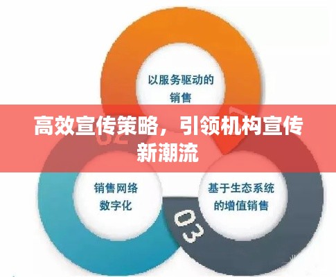 高效宣传策略，引领机构宣传新潮流