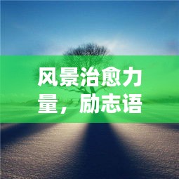 风景治愈力量，励志语录与美图分享