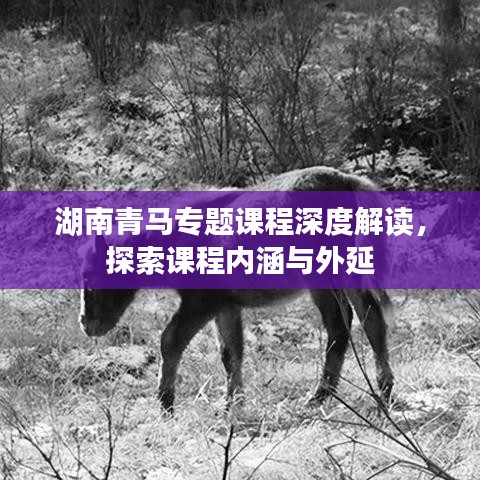 喜笑颜开