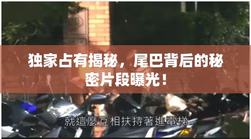 独家占有揭秘，尾巴背后的秘密片段曝光！