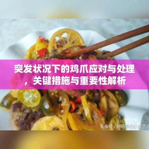 突发状况下的鸡爪应对与处理，关键措施与重要性解析