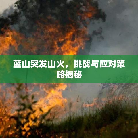 蓝山突发山火，挑战与应对策略揭秘