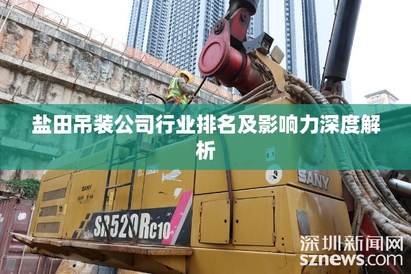 盐田吊装公司行业排名及影响力深度解析