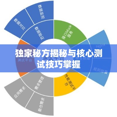 独家秘方揭秘与核心测试技巧掌握