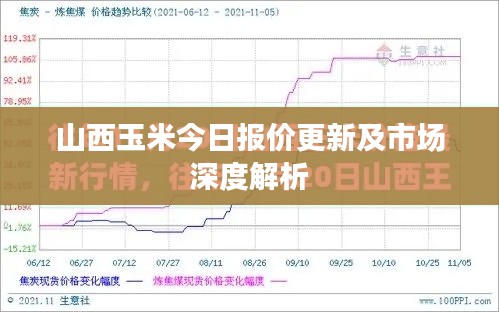 山西玉米今日报价更新及市场深度解析