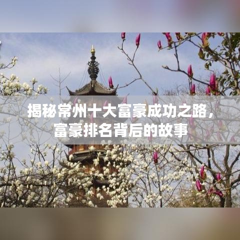 揭秘常州十大富豪成功之路，富豪排名背后的故事