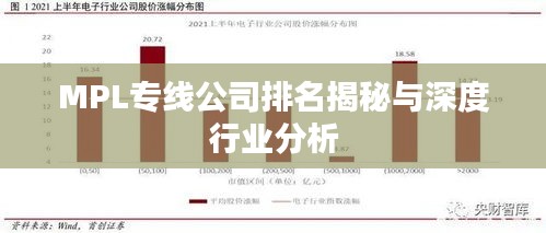MPL专线公司排名揭秘与深度行业分析
