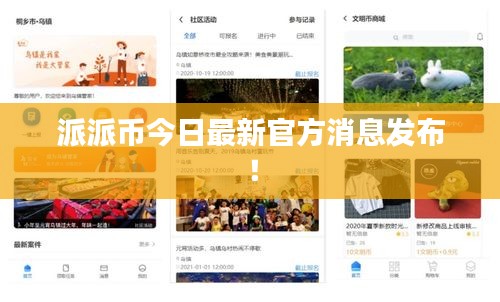 派派币今日最新官方消息发布！