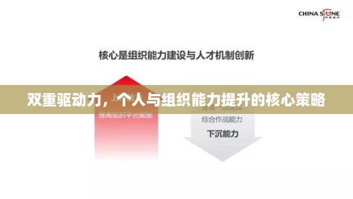 双重驱动力，个人与组织能力提升的核心策略