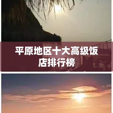 平原地区十大高级饭店排行榜