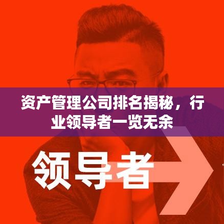 资产管理公司排名揭秘，行业领导者一览无余