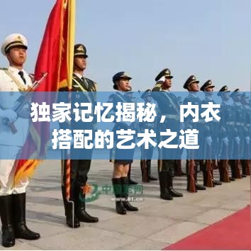 独家记忆揭秘，内衣搭配的艺术之道