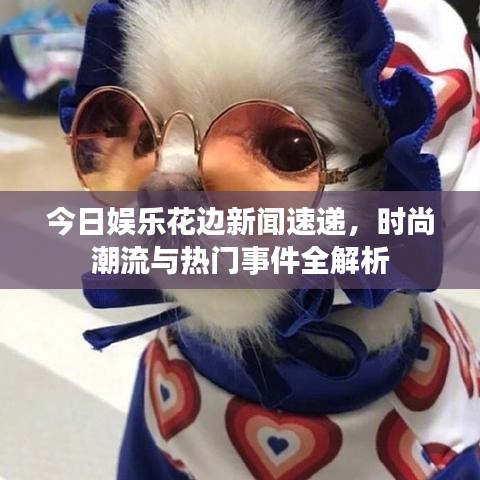 今日娱乐花边新闻速递，时尚潮流与热门事件全解析