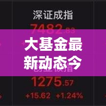 大基金最新动态今日揭秘