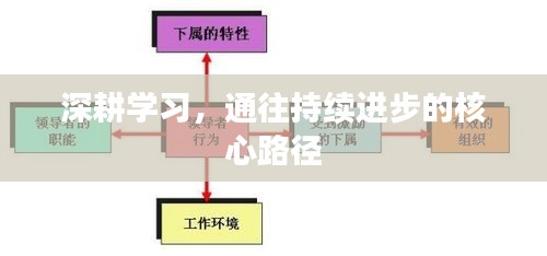 深耕学习，通往持续进步的核心路径